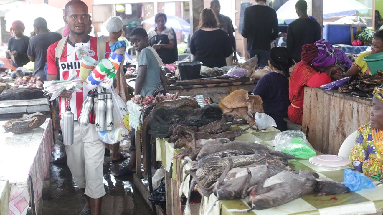 Caza furtiva, protección y comercialización en mercados.