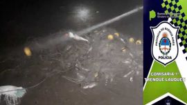 Secuestraron 200 kilos de pejerreyes en la laguna Cuero de Zorro, Trenque Lauquen.