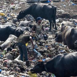 Los recolectores de trapos buscan artículos reciclables en un vertedero de basura en Lahore antes del Día Mundial del Medio Ambiente de las Naciones Unidas. | Foto:Arif Ali / Ali