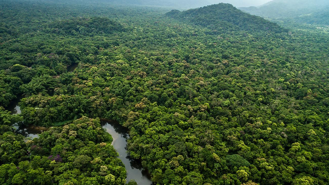 MEDIO AMBIENTE