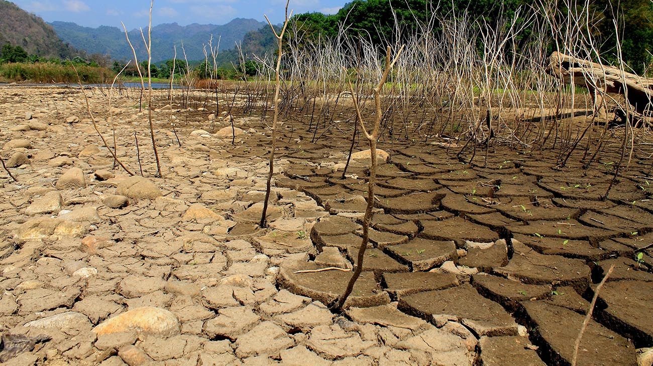 MEDIO AMBIENTE