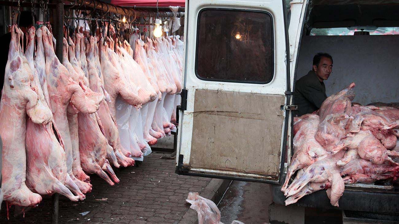 Mercado Wuhan en china y aguas de Venecia