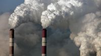 5 de junio 2020 dia mundial del medioambiente