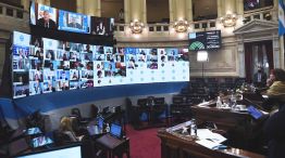 El Senado volvió a sesionar de forma virtual y la oposición se desconectó-20200604