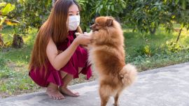 Cómo hacer para que nuestra mascota no se asuste cuando usamos tapabocas.