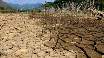 MEDIO AMBIENTE 20200604