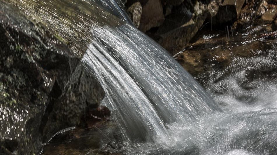 5 de junio 2020 dia mundial del medioambiente