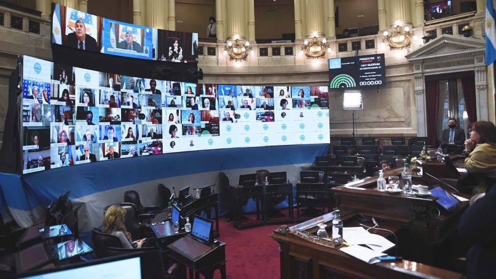 El Senado volvió a sesionar de forma virtual y la oposición se desconectó-20200604