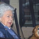 Isabel II y su amor por los perros