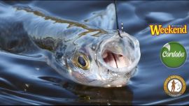 Córdoba habilitó la pesca de costa flexibilizando, así, la cuarentena impuesta a causa del coronavirus.
