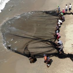 Los pescadores artesanales arrastran una red de arrastre tradicional desde el mar en la Bahía de Santa Lucía en Acapulco, en la costa del Pacífico de México. | Foto:ROBLES / AFP)