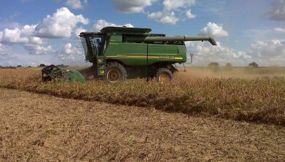 El 5 de diciembre de 2019, la cerealera se declaró en estrés financiero y desde entonces no logró superar el problema de su deuda.