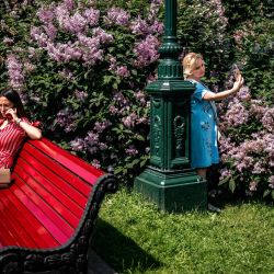 Las mujeres disfrutan de un día cálido y soleado en un parque en el centro de Moscú, el primer día después de que Moscú levantara una serie de medidas contra el coronavirus, incluido un estricto bloqueo establecido para frenar la propagación del COVID-19 causado por el nuevo coronavirus. | Foto:Dimitar Dilkoff / AFP)