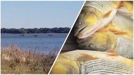 Pescadores paraguayos pescan frente a Ituzaingó, Corrientes, con total impunidad.