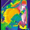 Un verdadero espectáculo de colores de los mecanismos del automóvil nos ofrece la cámara termográfica.