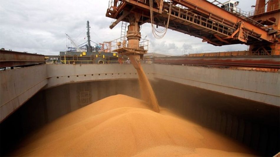 Cereales en Brasil