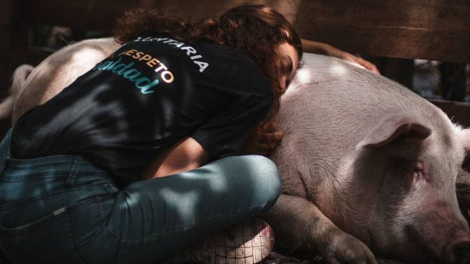 El paraíso de los animales