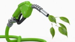 Vicentin: preocupación del sector de biocombustibles