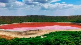 Así está ahora el lago Lonar, en el estado de Maharashtra de la India:cambió repentinamente de color.