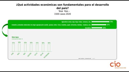 GRAFICO