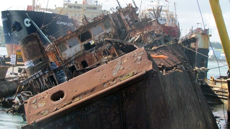 Larry Belmont Negociar Aja Mar del Plata: hundirán barcos chatarra para ampliar el parque subacuático  | Weekend