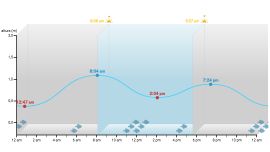 Lo mejor de la pesca de mar se dará al mediodía y a la medianoche.