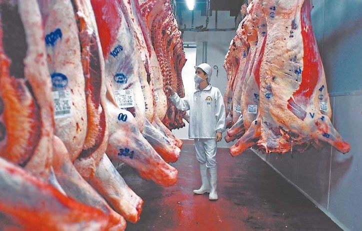 Exportación de carne a China 