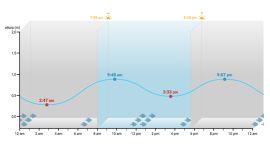 La mejor hora de pesca en Mar de Ajó será de 11:20 am a 01:20 pm y de 11:50 pm a 01:50 am.