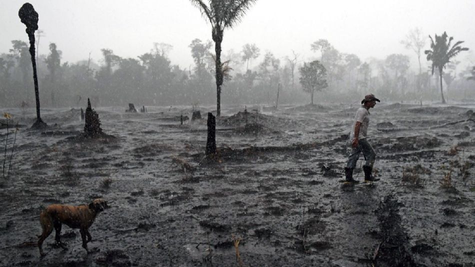 En 50 años los desastres naturales no han hecho más que incrementarse.