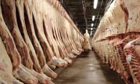 2006- beef industry