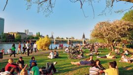 La gente se sienta a disfrutar del verde y del sol a la vera del río Meno que divide a Frankfurt en dos.