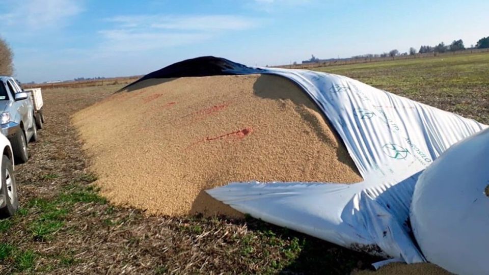 Silobolsa roto en Carcarañá