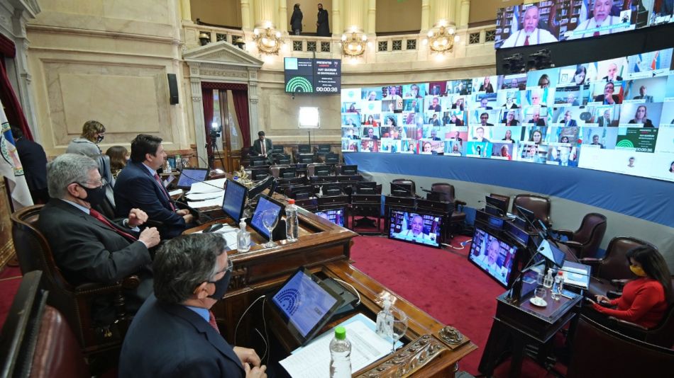 sesion virtual vicentin senado g_20200624