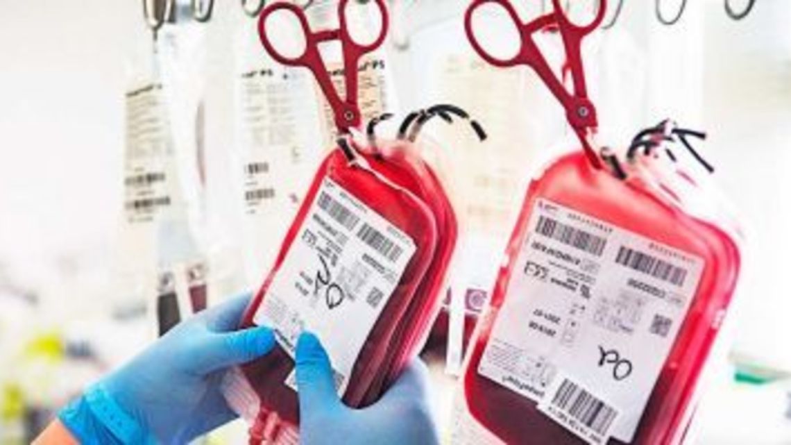National Program for the Donation of Blood Plasma creates a series of incentives to encourage voluntary donation of blood plasma.