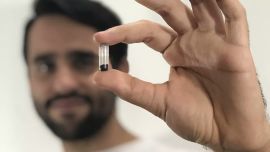 Un nuevo desarrollo podría desactivar el dengue a través de la fecundación de mosquitos estériles.