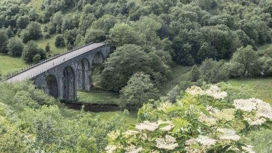 De Escocia a Florida y de Canadá a Australia pasando por España, estas son algunas de las líneas de tren en desuso que han logrado revivir para placer de viajeros, ciclistas y paseantes.