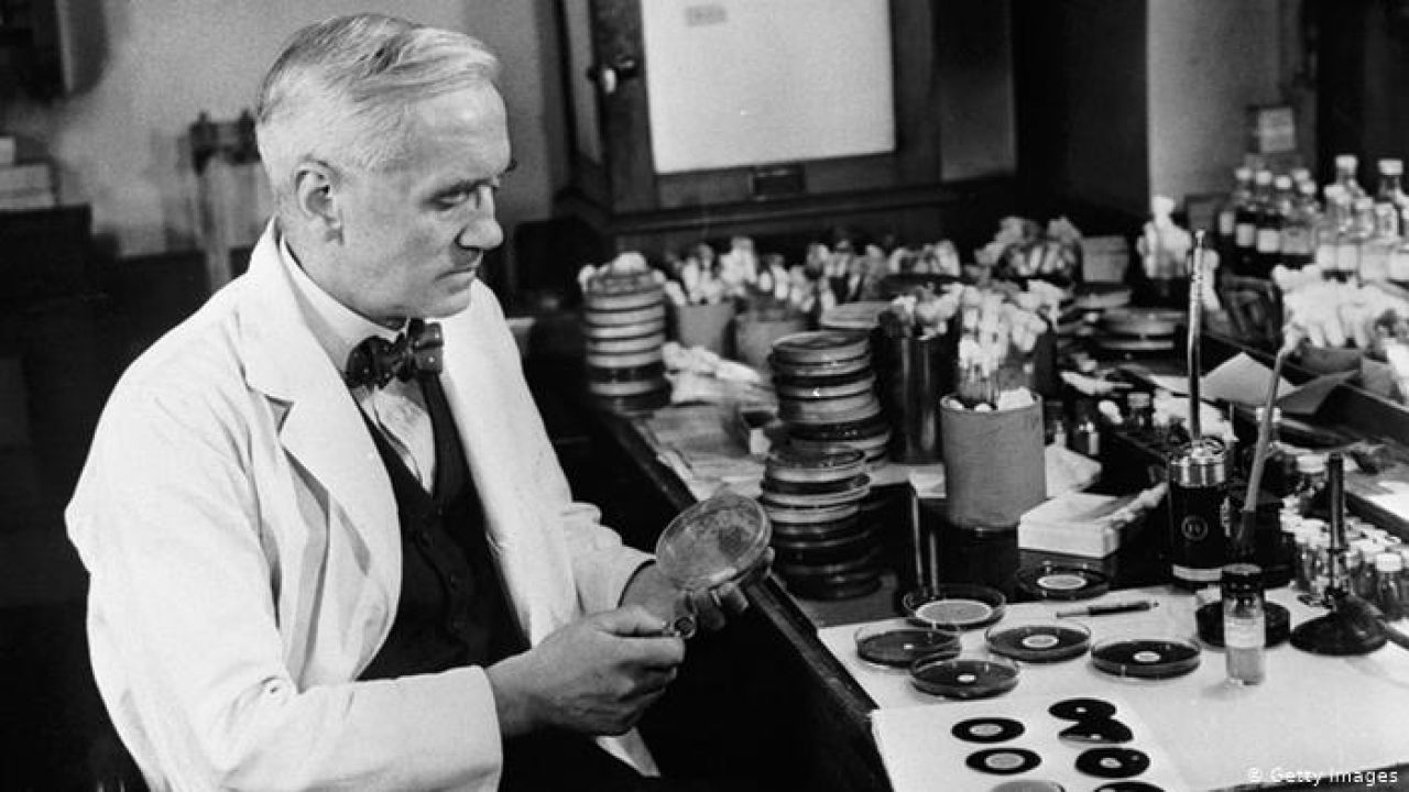 Alexander Fleming descubrió la penicilina gracias a un olvido involuntario  | Perfil