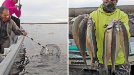 Pejerreyes en la Genovesa. Una laguna que siempre da buenos resultados.