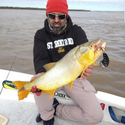 Pesca de dorados en el río Paraná, del lado de Santa Fe y de Entre Ríos.