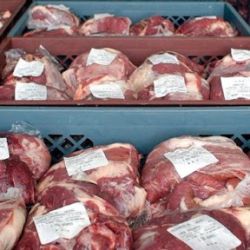 Carne exportación