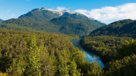 El Parque Nacional Lanín fue considerado patrimonio Mundial por la Unesco hace tres años.