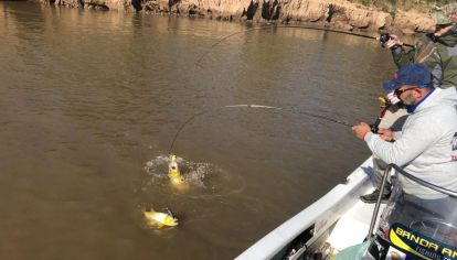 Nuevas correderas en el río Paraná