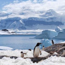 En general, las temperaturas medias del Polo Sur varían entre los -60 °C en invierno y hasta los -20 °C en verano.