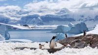 La Antártida se está calentando tres veces más rápido que el resto de la Tierra