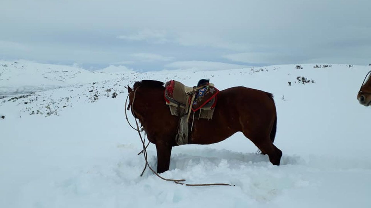 visita  al paraje ranquileo 