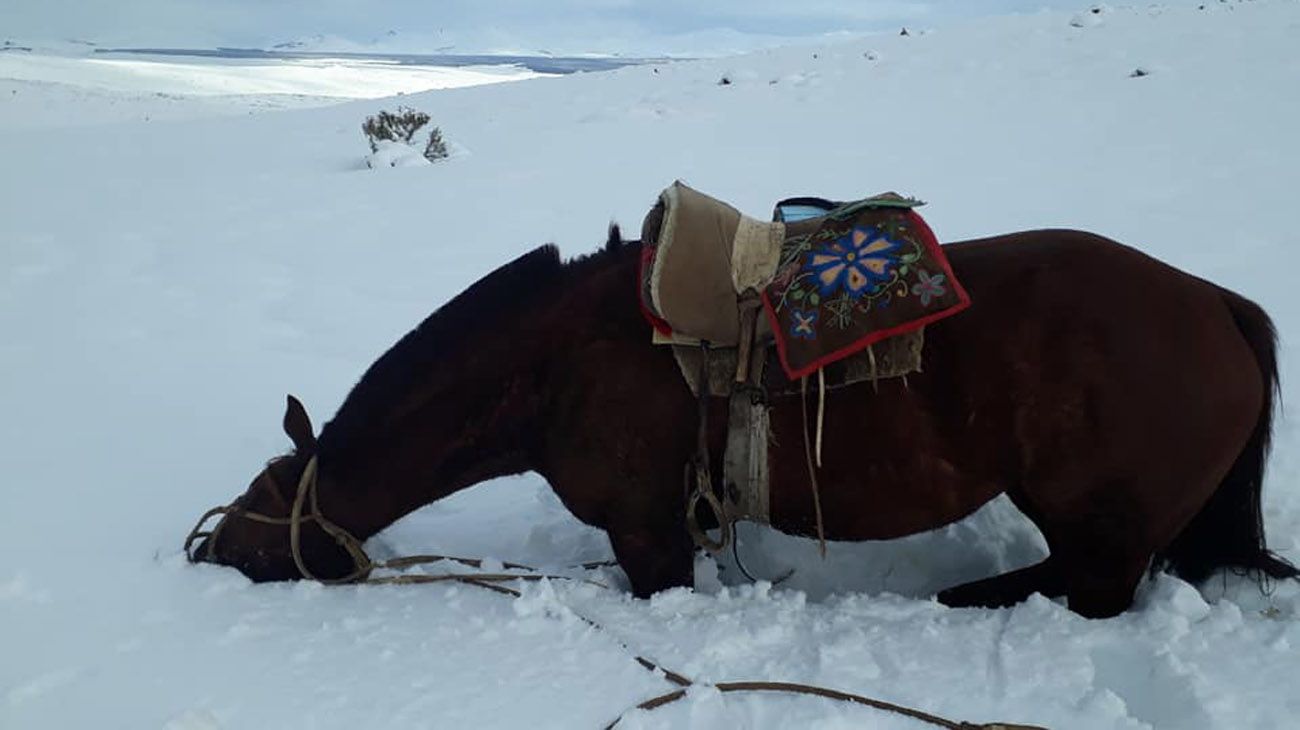 visita  al paraje ranquileo 