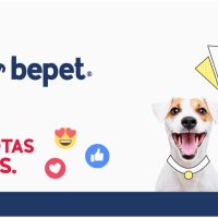 Be Pet
