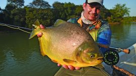 Criarán pacúes entrerrianos para fabricar alimento balanceado.
