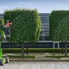 Un especialista corta los tilos de la planta de Rolls-Royce.