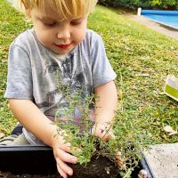 Mirko y Marley cultivan verduras en su huerta